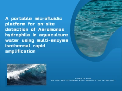 En bærbar mikrofluidisk platform til-detektion af Aeromonas Hydrophila på ste...